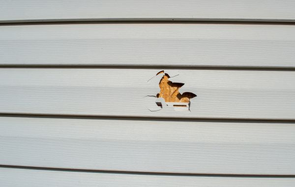 Cost of Siding Hole Repair in Upper Marlboro
